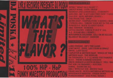 1995 – Dj Poska – What’s the flavor N°11